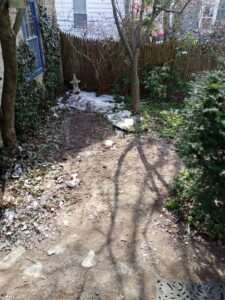 Junk Removal - After