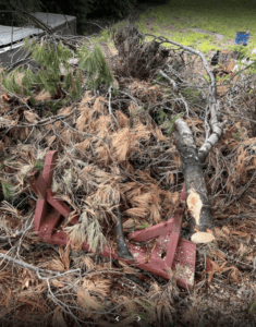 Full-Service Junk Removal in the Greater Boston Area