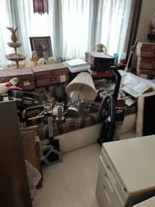 Speedy Junk Removal Pros