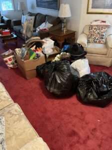 Speedy Junk Removal Pros